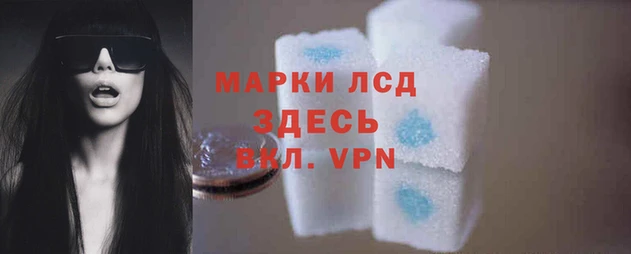 ешки Белокуриха